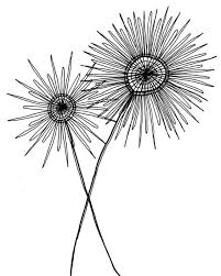 371x286 simple insect and flower line drawings standingoutinmyfield. Simple Black And White Patterns Drawings Google Search Flower Drawing Black And White Drawing Drawings