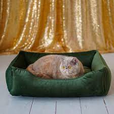 cat bed emerald green velvet cat floor pillow for modern etsy cat bed heated outdoor cat house outdoor cat house