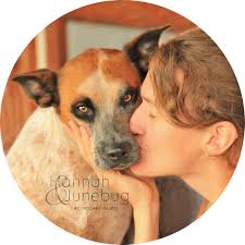 Digital Creations — SUSAN GRABER HUNSBERGER