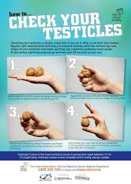 An ultrasound is often the first test done if the doctor thinks you might have testicular cancer. What Is Testicular Cancer Signs Symptoms Treatments And How To Check Your Testicles