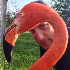 Dr Jason Crean, Consultant