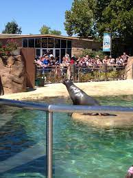 Tulsa Zoo In Mohawk Park Tulsa Zoo Oklahoma History Oklahoma Attractions