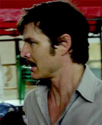 🥵 Suffering through a heatwave today. Some Pedro chest should help me cool  off, right? 🤷‍♀️ : r/Pedro_Pascal