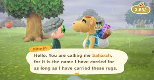We did not find results for: How To Find Saharah Saharah S Rugs Wallpaper And Flooring Acnh Animal Crossing New Horizons Switch Game8