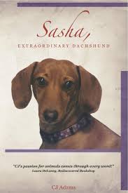 We did not find results for: Connecticut Dachshund Rescue And Pet Services Home Facebook
