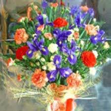 We have 13 florists with 1365 reviews delivering in christchurch. Sumner Florist New Zealand Flowerbiz Florists Sumner Nz Flowers Sumner New Zealand Sunmer Nz