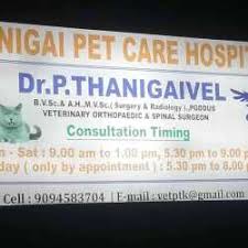 Thanigai Pet Care Hospital Velacheri Veterinary Doctors In Chennai Justdial