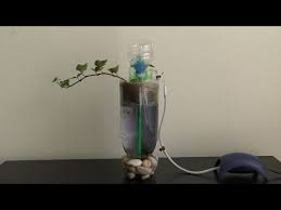 How To Make An Air Pump Using Plastic Bottle Youtube Aquarium Air Pump Aquarium Pump Diy Aquarium Filter
