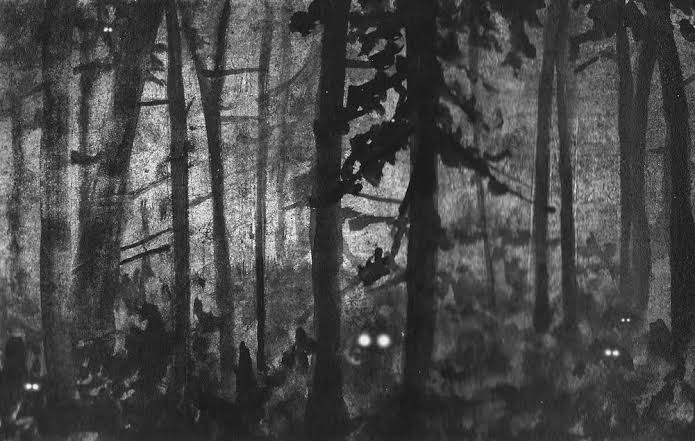 Eyeshine: Those Glowing Eyes Looking Back At You - Adirondack Almanack