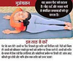 Pin By Shailesh Desai On Yoga Yoga Asanas Yoga Health Gym Workout For Beginners