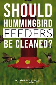 Maybe you would like to learn more about one of these? Pin On Feed The Nectar Fruit Lovers
