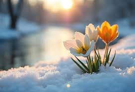 Early spring wallpaper Images - Free Download on Freepik