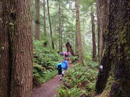 Parking lot at trailhead, vault once the trail reaches the edge of the headland, views of the ocean emerge through the trees. Tillamook Head Trail In Ecola State Park Modern Hiker
