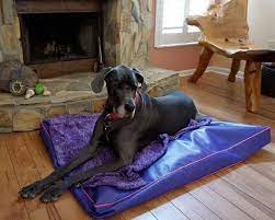 2 what makes a large dog bed special? Heavy Duty Dog Bed Very Easy To Clean Just Hose Off And Air Etsy