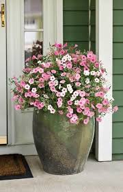 Epingle Sur Magazine Decoration Exterieur