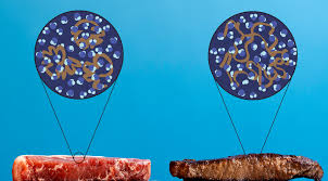 7 days beef roast, steaks or ribs, uncooked: Searing Steak Food Science Exploratorium
