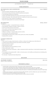 bid coordinator resume sample mintresume