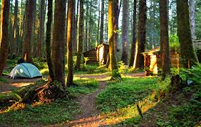 Many of oregon's best campgrounds are found along its magnificent coast. 12 Top Rated Campgrounds On The Oregon Coast Planetware