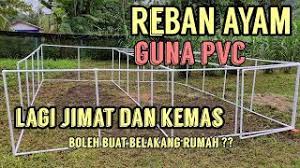 See more ideas about reban, reban ayam, taman herba. Reban Ayam Pvc Mudah Dan Murah Part 1 Youtube
