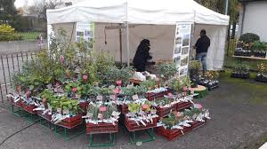 France inter invite les enfants de 7 à 12 ans à se plonger dans les aventures des grandes figures de france culture propose de retrouver l'adaptation audio de quatre albums : Liste Des Fetes Et Marches De La Truffe Dans Toute La France