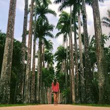 Jardim Botanico Rio De Janeiro Beachpicturesriodejaneiro Fotos Tumblr Fotos Inspiracion Fotos Tumbrl