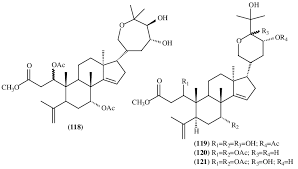 Image result for Trichilia prieuriana