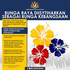 Memaparkan catatan dengan label kementerian pendidikan malaysia. Kpm Pa Twitter Menjelang Hari Malaysia Mari Sama Sama Kita Menimba Ilmu Tentang Bunga Kebangsaan
