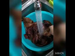Yuk, coba beberapa cara melembutkan rambut secara alami berikut. Cara Lembutkan Sotong Kering Youtube