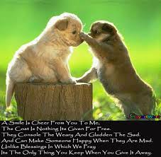 Friendship Quotes Friendship Sms Friendship Friendship Shayari Shayari On Friendship Friendship Shayari In Hi Cute Animal Memes Funny Animals Cute Animals