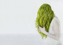 Why The Swimming Pool Can Turn Your Hair Green Green Hair Chlorine Green Hair Hair