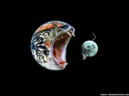 A good moment for photography. 62 Funny Pics Wallpaper On Wallpapersafari