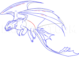 Flying hiccup and toothless drawing : How To Draw Night Fury Toothless Step By Step Drawing Guide By Dawn Dragoart Com