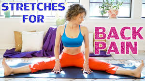 Along with weight loss, yoga is known to increase flexibility, build muscle strength, prevent joint breakdown, protect your spine, increase your blood flow, and in randomized tests published by the national center of biotechnological information on october 2015, bikram … How Is Yoga Helpful For Weight Loss Back Pain Mindyoga4u