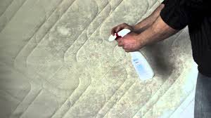 Check spelling or type a new query. Comment Enlever De La Moisissure Sur Un Matelas Guide D Achat Matelas
