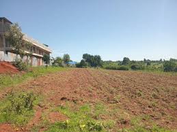 Mountain View Land
