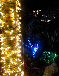 More Lights At Sarasota Jungle Gardens Sarasota Jungle Gardens Holiday Lights Lights