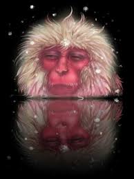 Snow Monkey