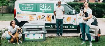 Maybe you would like to learn more about one of these? Shipment Of Animals And Transport Of Pets Abroad Bliss Pets