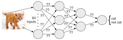 ÙØªÛØ¬Ù ØªØµÙÛØ±Û Ø¨Ø±Ø§Û âªneural networkâ¬â
