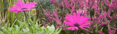 Maybe you would like to learn more about one of these? Flower Program City Of Edmonds Wa