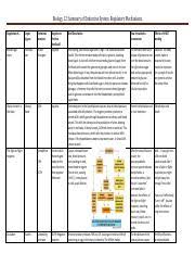 Endocrine Summary Chart Mechanisms 1 Pdf Biology 12