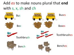 Contoh soal ujian tk dan paud pusat pendidikan activities. 30 Kumpulan Soal Plural Form Dalam Bahasa Inggris Beserta Jawaban