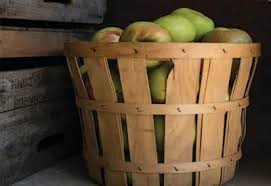 Use them in commercial designs under lifetime, perpetual & worldwide rights. Building A Diy Root Cellar At The Farm A Vintage Storage Solution