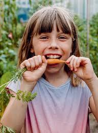 Eignungstests: Spiessrutenlauf vor der Lehre Zoos: Bildung zum Preis  gefangener Tiere?