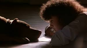 Critic reviews for black dog. Celebrating The Pit Bull Grunt From Flashdance Michigan Humane