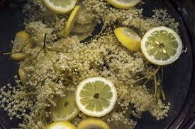 Holunderblutensirup Selber Machen Ein Schnell Rezept Utopia De Naturheilmittel Holunderblutensirup Selber Machen Holunder