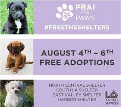We have been contracted by the city of westminster to be responsible for the stray and homeless animals found in westminster and stanton california. Free The Shelters No Fee Adoption Event This August 4th 6th Eastwood Ranch Foundation Animal Advocacy