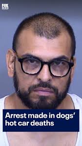 Strike while the iron is hot: Anita Roman Fox 10 visits a Valley business  that's offering a very unique way to relax. To learn more, visit  fox10phoenix.com