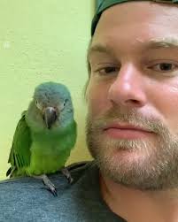 Little Bird Shows Guy Lots Of Affection En 2020 Videos Divertidos De Animales Pajaros Divertidos Animales Graciosos