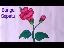 Karena pada gambar bunga ada banyak sudut sempit yang tida bisa sembarangan dalam mewarnainya. Mewarnai Gambar Bunga Kembang Sepatu Mewarnai Cerita Terbaru Lucu Sedih Humor Kocak Romantis